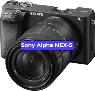 Ремонт фотоаппарата Sony Alpha NEX-5 в Челябинске